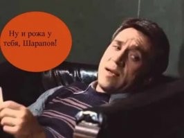 Последствия укуса шершня на рыбалке