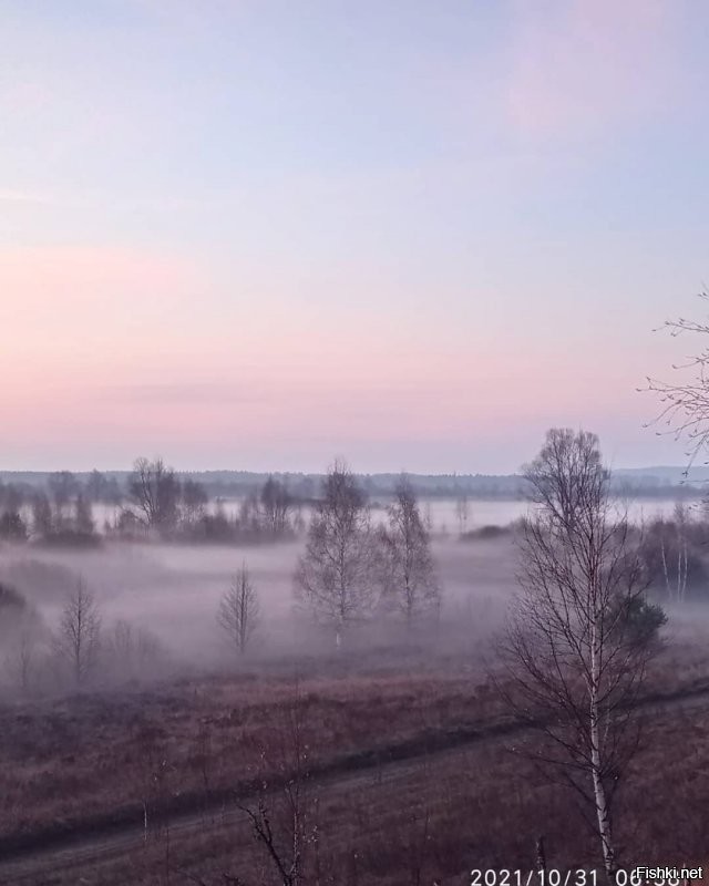 вчерашние туманы в Мари Эл