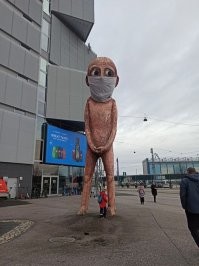 Фотоподборка