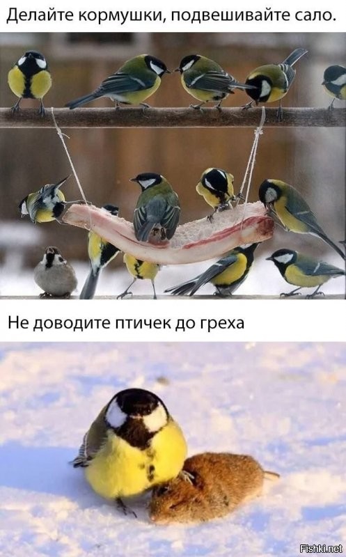 Кто не скачет — тот замерз