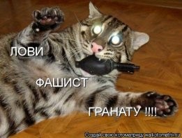 После ссоры с персоналом магазина покупатель в Бруклине бросил в помещение коктейль Молотова