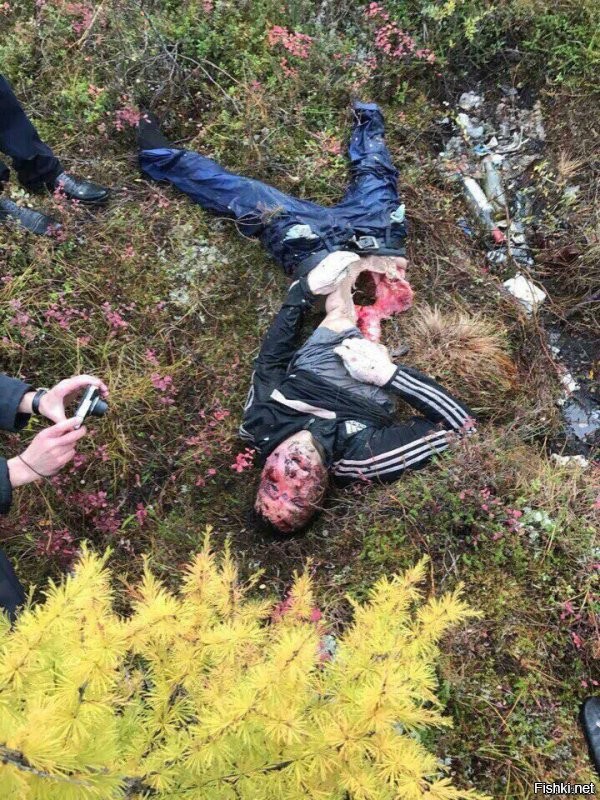 Смешные и&nbsp;добрые видео