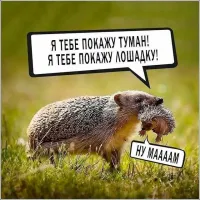 Москва утонула в тумане. Радиационном, но не опасном