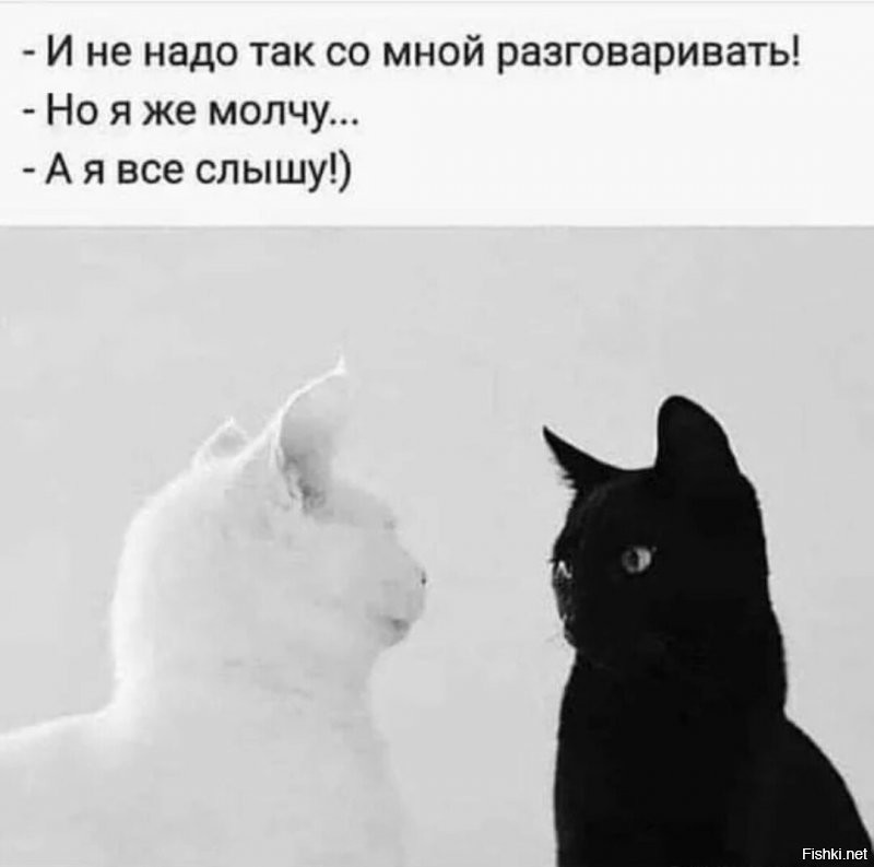 Солянка от 02.11.2021