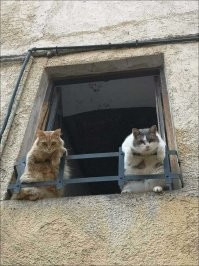 - Пацанчик, слышь, а ты чё делаешь на нашем райёне?