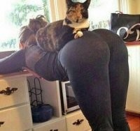 Лечение радикулита народными средствами