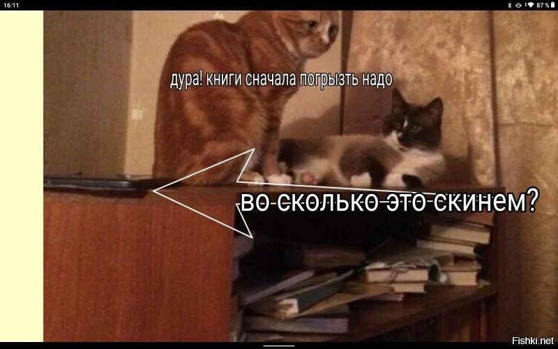 Можно смело сказать, что рыжий её вырастил- ему скоро 17, а ей 22