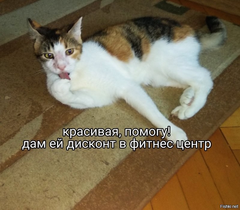 Солянка от 02.11.2021