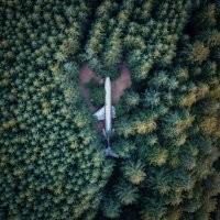 меня терзают смутные сомнения)))