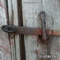 Шел бы отсюда петушок