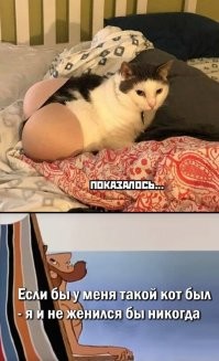 Весёлые картинки. Выпуск 33