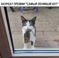 Смешные и познавательные картинки