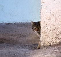 Витебск, Беларусь.