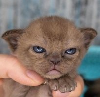 напомнило чего то