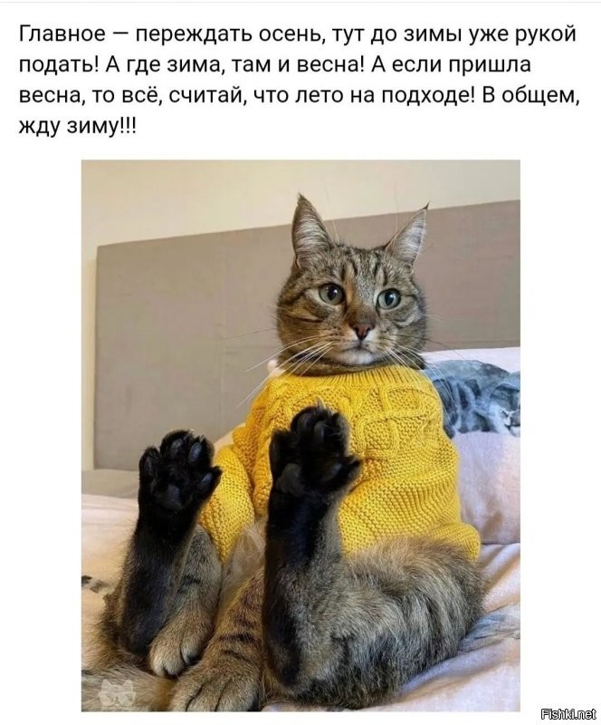 Доброго утра, хорошего дня)