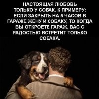 Вот и папа вернулся: собака радостно встречает хозяина