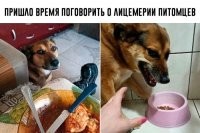Ты не понимаешь! Твоя котлета - это НАША котлета! А моя котлета - это МОЯ котлета! )))