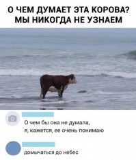 Скрины из соцсетей