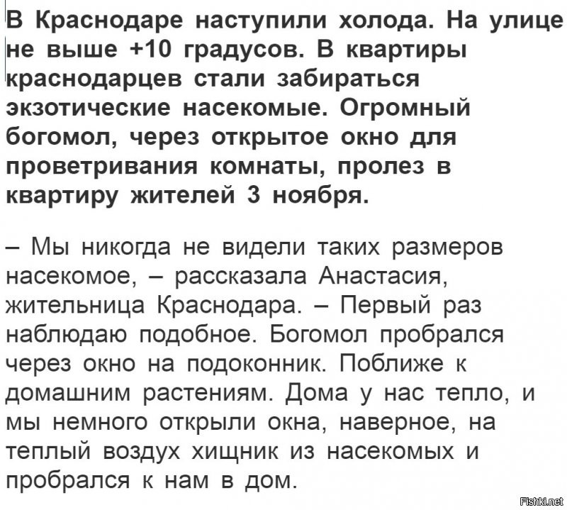 У нас среди бесконечных новостей о ковиде, коррупции и т.д. появилась про богомола, написанная в этом же стиле, редко такое бывает, потому и про сосиску вспомнил: