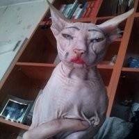 Седина в бороду: Мадонна удивила поклонников откровенным нарядом на Хэллоуин