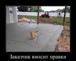 Победила в номинации "Королева бульона"