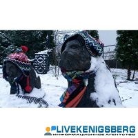 Дибилизм от полиции. У нас это типа фишки даже статуям котиков в холода надевают шапочки и шарфики. Народ умиляется, туристы фотают.