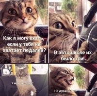 Хуже, когда "у вас одна педалька лишняя".