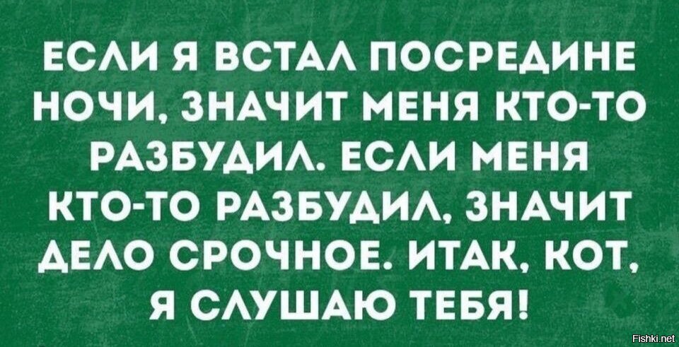 Что означает буди. Смешные картинки с надписями до слёз приколы про жизнь со смыслом.