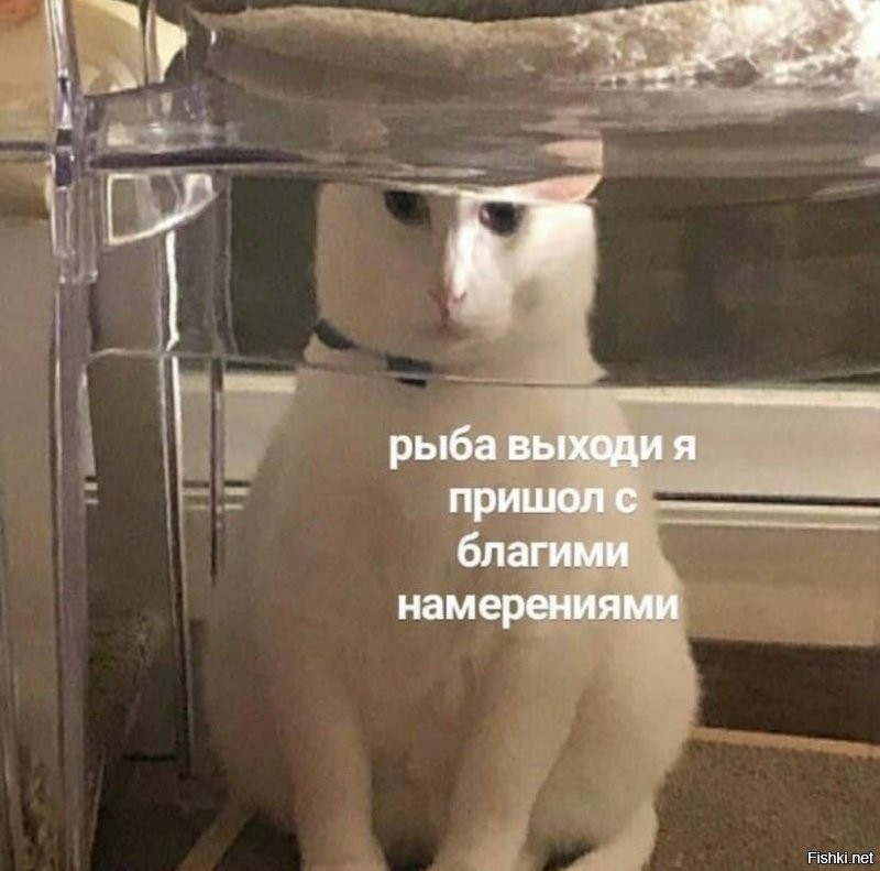 Солянка от 04.11.2021