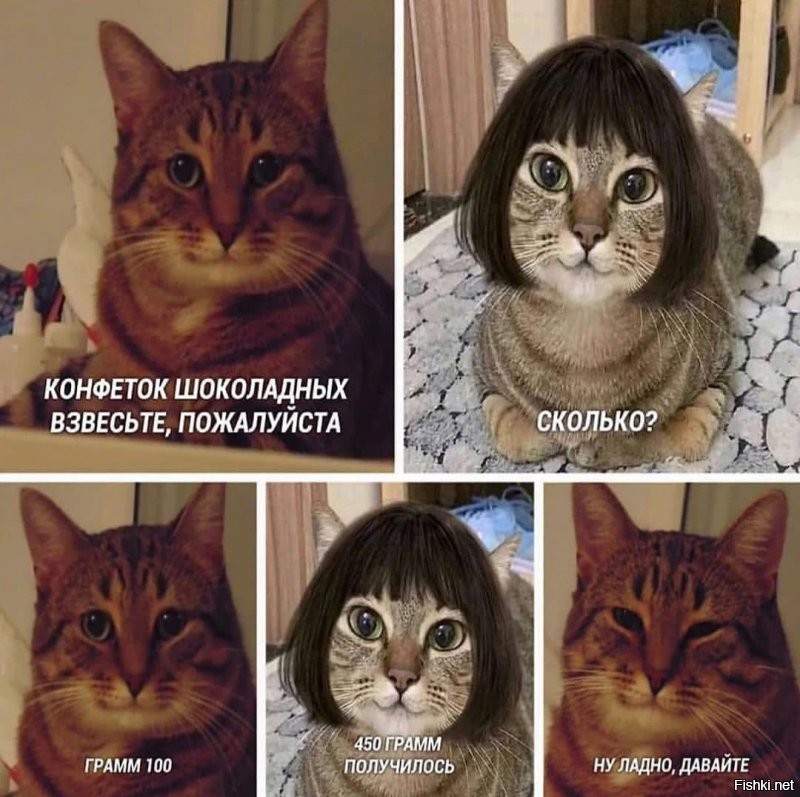 Солянка от 04.11.2021