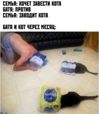 Видно, конечно, что батя допился до зеленых чертей, но чтобы вместо одной белочки два черных кота приходили! Действительно, познавательная картинка.