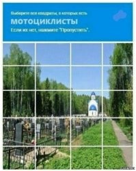 Красота и опасность: 25 мотокитти,  притягательность которых неоспорима