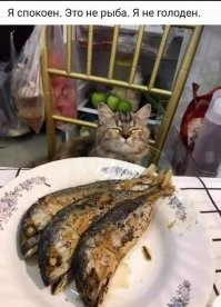 Смешные и познавательные картинки
