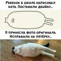 16 СМС-переписок, претендующих на звание "Умора года"