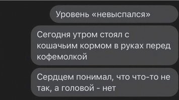 ...А в это время кот задумчиво обнюхивал кофейные зерна в миске :sarcastichand: