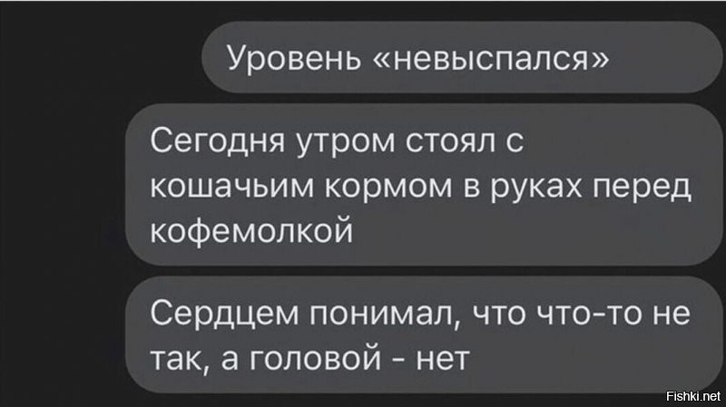 ...А в это время кот задумчиво обнюхивал кофейные зерна в миске