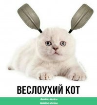 Есть и такие