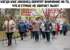 Смешные и познавательные картинки
