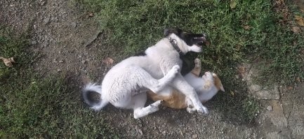 Мои