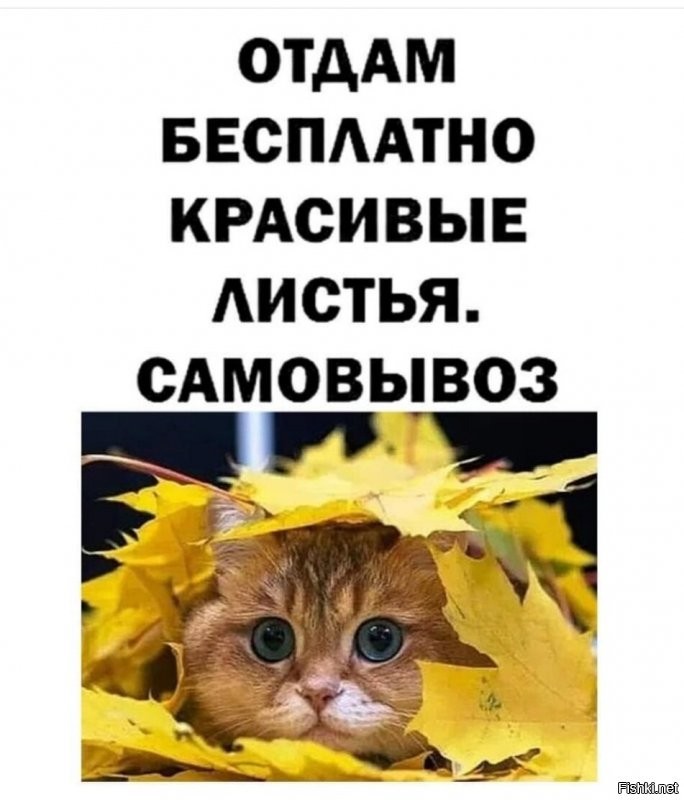 А вот и пятница, ещё праздник) 5 ноября,  Яков Гужник