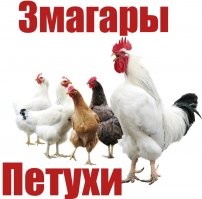 Калейдоскоп позитива