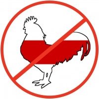 Теперь без V8! Toyota официально представила новый внедорожник Land Cruiser 300