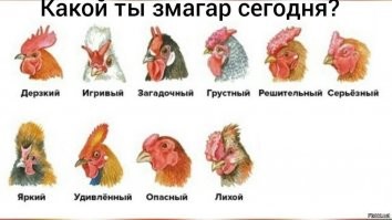 Россиянам могут предложить жвачку от коронавируса