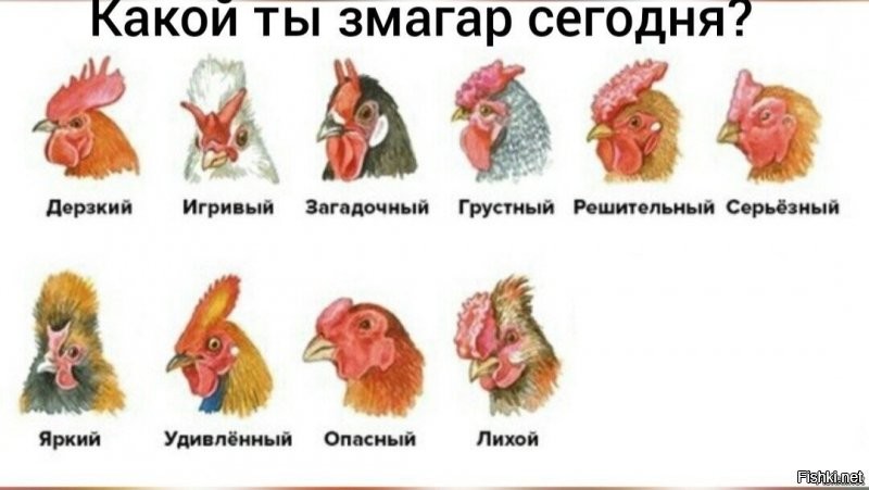 Липкое золото и новый биткойн: мужское семя стремительно дорожает