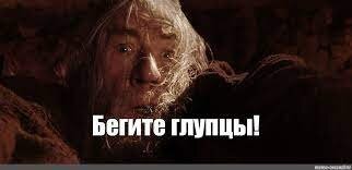 "Запах свежескошенной лужайки на самом деле является химическим сигналом бедствия, исходящим от травы во время стрижки." - Сигналом бедствия кому? Другой траве?)