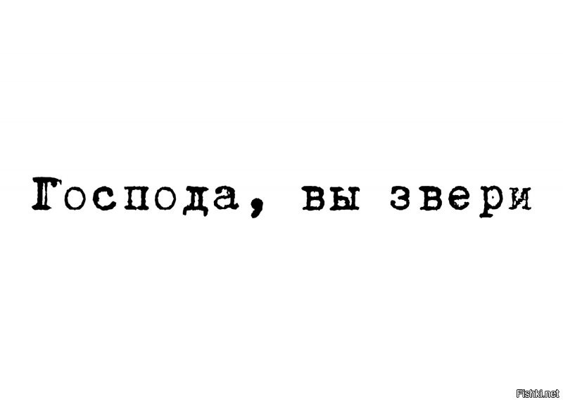 Солянка от 05.11.2021