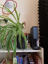 Да там даже котейке на картинке поплохело!