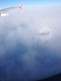 Это явление можно наблюдать из иллюминатора во время почти любого авиаперелета. Только в центре - тень от самолета.