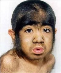 В Подмосковье начались облавы на мигрантов