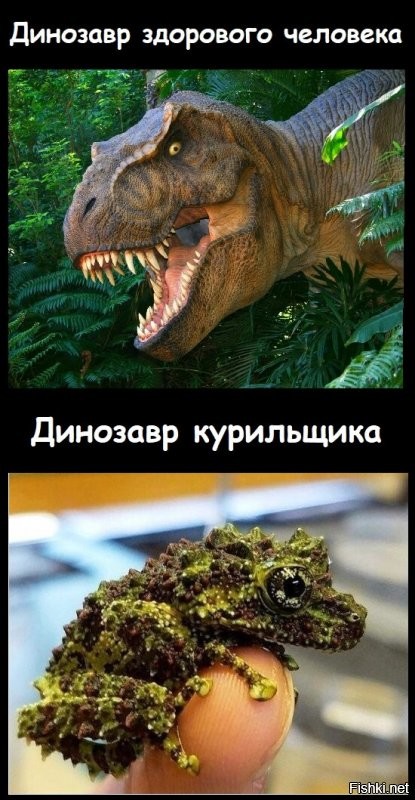 Солянка от 05.11.2021
